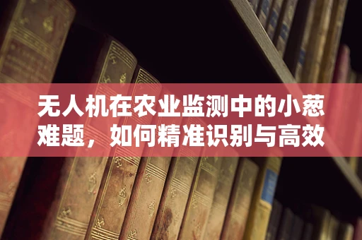 无人机在农业监测中的小葱难题，如何精准识别与高效管理？