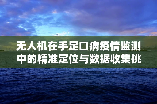 无人机在手足口病疫情监测中的精准定位与数据收集挑战