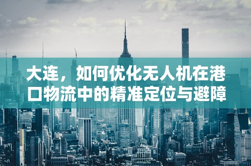 大连，如何优化无人机在港口物流中的精准定位与避障技术？