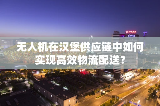 无人机在汉堡供应链中如何实现高效物流配送？