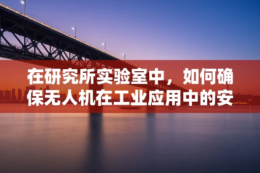 在研究所实验室中，如何确保无人机在工业应用中的安全与效率？