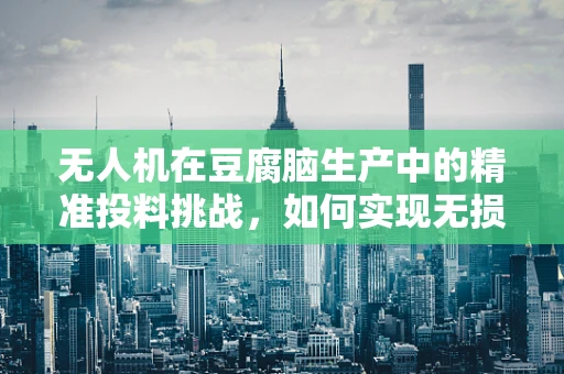 无人机在豆腐脑生产中的精准投料挑战，如何实现无损、高效配送？