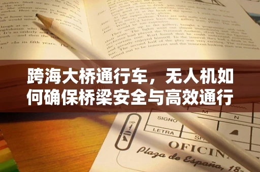 跨海大桥通行车，无人机如何确保桥梁安全与高效通行？