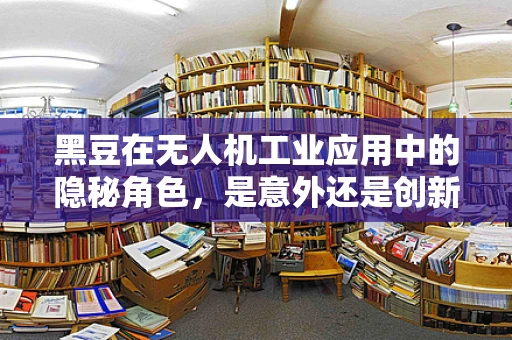 黑豆在无人机工业应用中的隐秘角色，是意外还是创新之选？