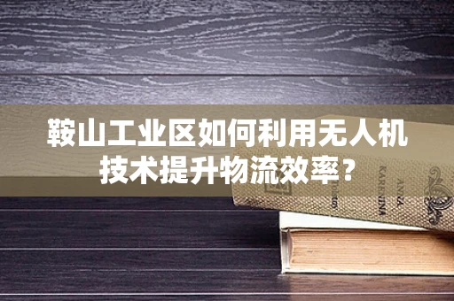 鞍山工业区如何利用无人机技术提升物流效率？