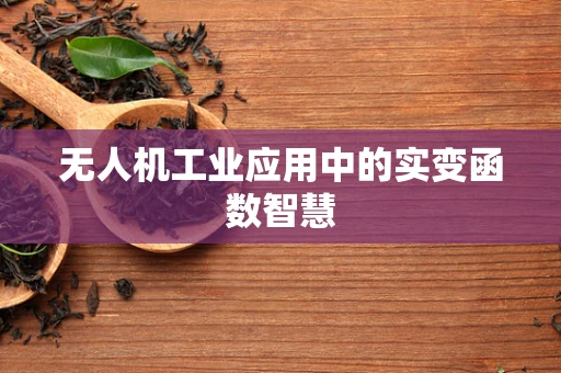 无人机工业应用中的实变函数智慧