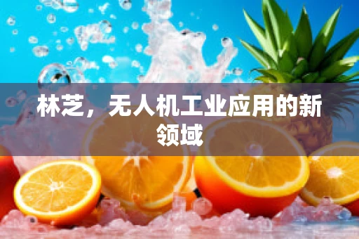 林芝，无人机工业应用的新领域