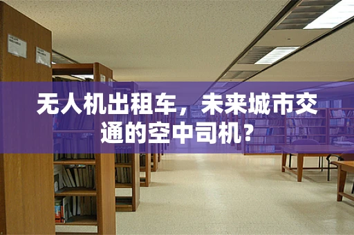 无人机出租车，未来城市交通的空中司机？