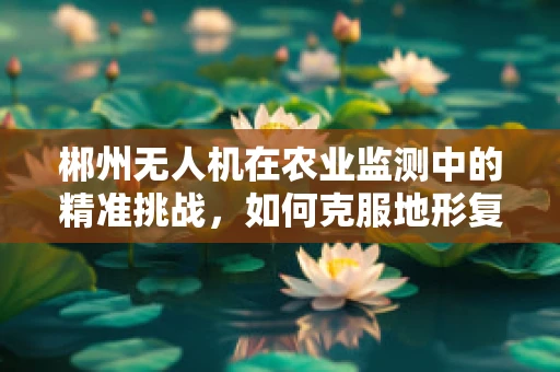 郴州无人机在农业监测中的精准挑战，如何克服地形复杂性的影响？