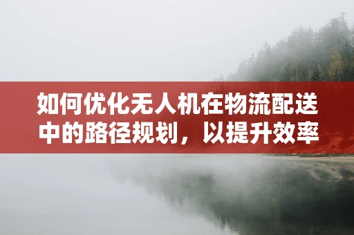 如何优化无人机在物流配送中的路径规划，以提升效率并降低成本？