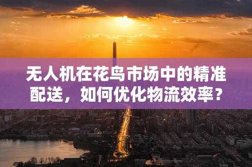 无人机在花鸟市场中的精准配送，如何优化物流效率？