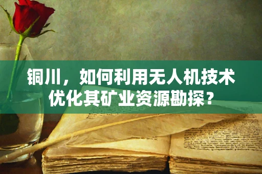 铜川，如何利用无人机技术优化其矿业资源勘探？