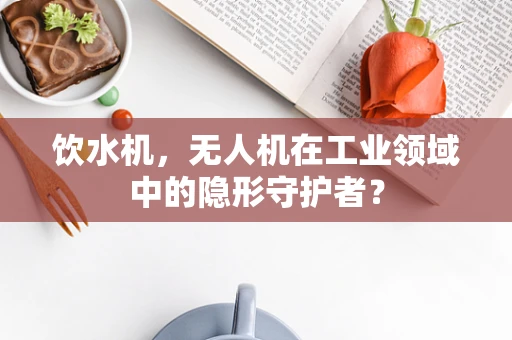 饮水机，无人机在工业领域中的隐形守护者？