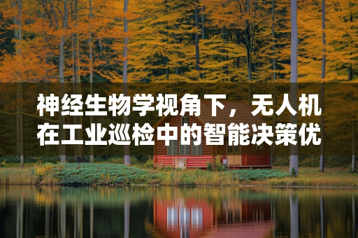 神经生物学视角下，无人机在工业巡检中的智能决策优化