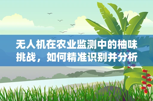 无人机在农业监测中的柚味挑战，如何精准识别并分析柚子园的病虫害？