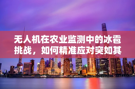 无人机在农业监测中的冰雹挑战，如何精准应对突如其来的自然灾害？