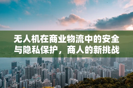 无人机在商业物流中的安全与隐私保护，商人的新挑战？