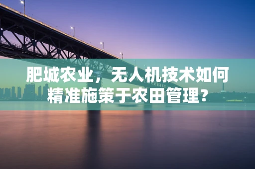 肥城农业，无人机技术如何精准施策于农田管理？