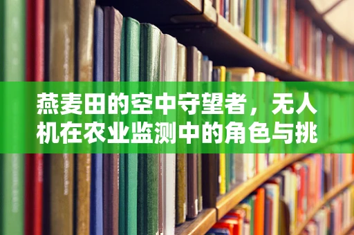 燕麦田的空中守望者，无人机在农业监测中的角色与挑战