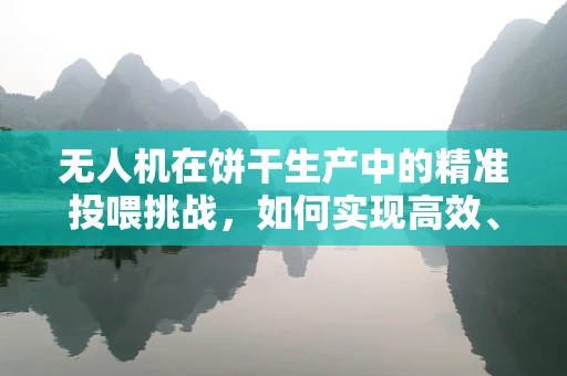 无人机在饼干生产中的精准投喂挑战，如何实现高效、无损的物料分配？