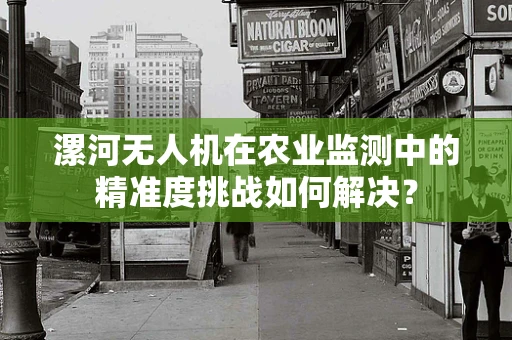 漯河无人机在农业监测中的精准度挑战如何解决？