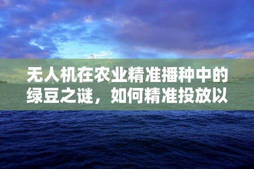 无人机在农业精准播种中的绿豆之谜，如何精准投放以优化种植效率？