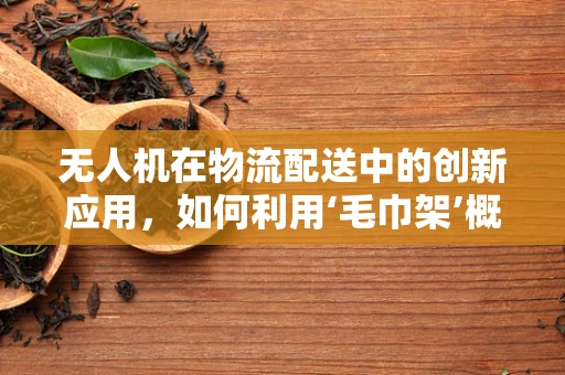 无人机在物流配送中的创新应用，如何利用‘毛巾架’概念优化货物固定？