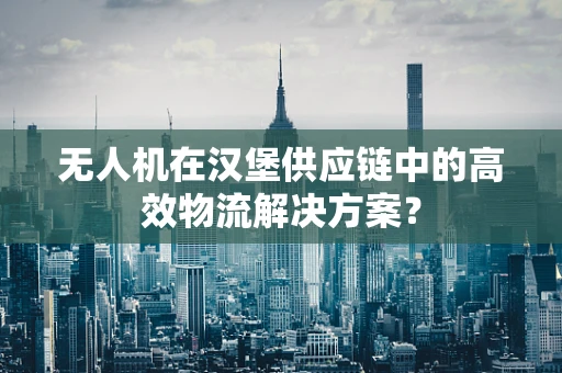 无人机在汉堡供应链中的高效物流解决方案？