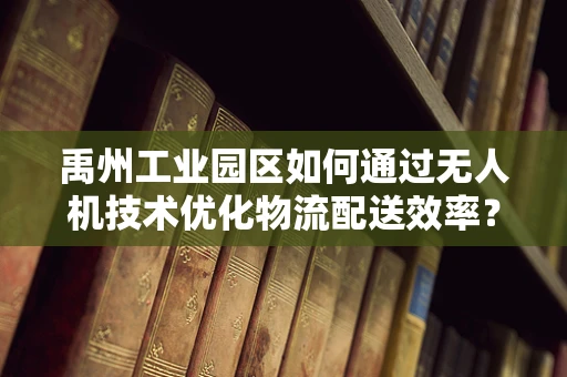 禹州工业园区如何通过无人机技术优化物流配送效率？