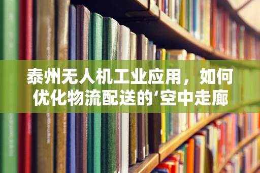 泰州无人机工业应用，如何优化物流配送的‘空中走廊’？