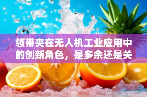 领带夹在无人机工业应用中的创新角色，是多余还是关键？