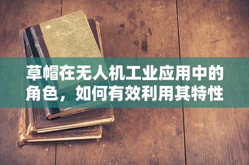 草帽在无人机工业应用中的角色，如何有效利用其特性提升作业效率？