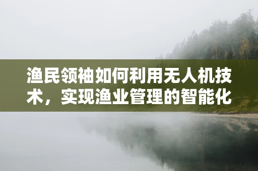 渔民领袖如何利用无人机技术，实现渔业管理的智能化升级？