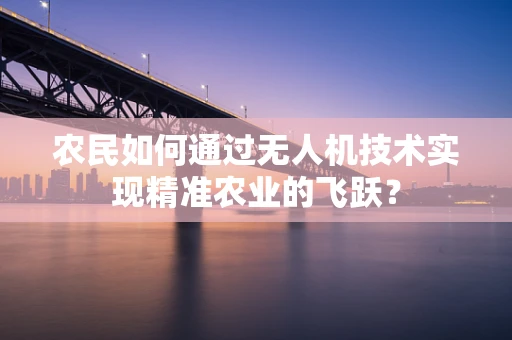 农民如何通过无人机技术实现精准农业的飞跃？