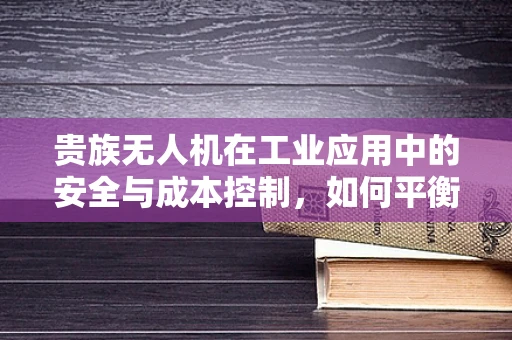 贵族无人机在工业应用中的安全与成本控制，如何平衡？